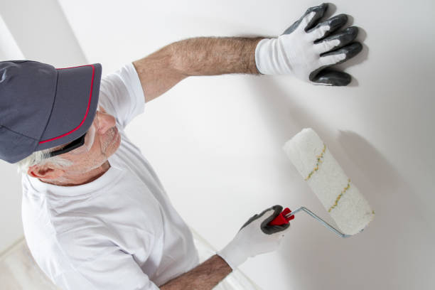 Best Real Estate Mold Inspection  in Northlake, IL