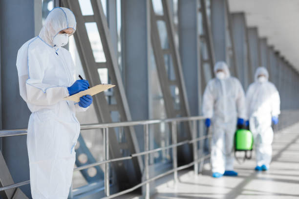 Best Water Damage & Mold Remediation  in Northlake, IL