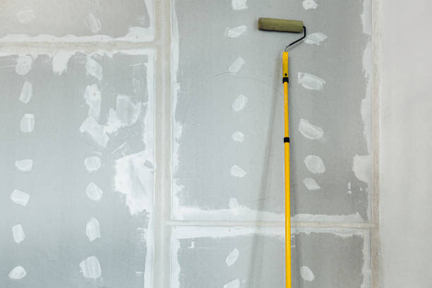 Best Crawl Space Mold Remediation  in Northlake, IL