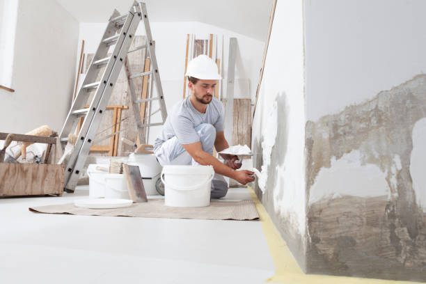 Best HVAC Mold Inspection and Cleaning  in Northlake, IL