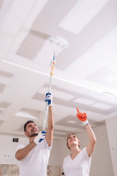 Best Industrial Mold Remediation  in Northlake, IL