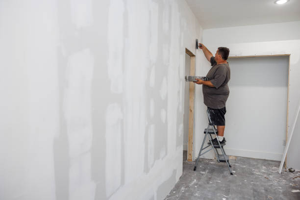 Reliable Northlake, IL Mold Removal Solutions