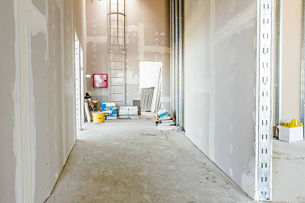 Best Post-Construction Mold Inspection  in Northlake, IL